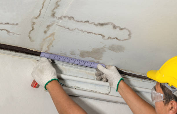Affordable Water Damage Repair solutions in Mallory, WV